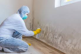 Best Commercial Mold Inspection  in Dos Palos, CA