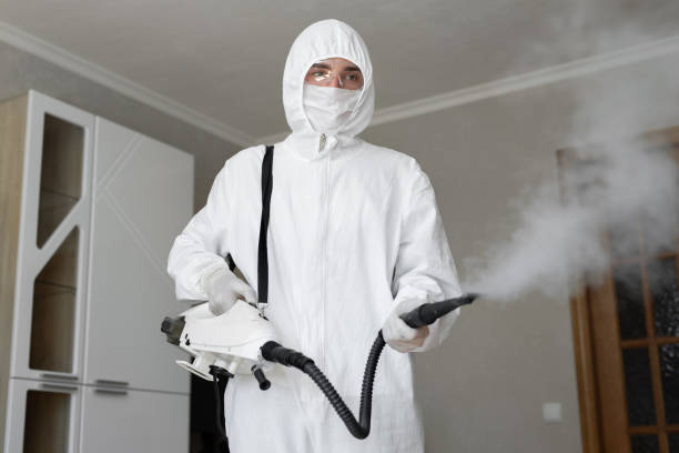 Dos Palos, CA Mold Removal & Remediation Company